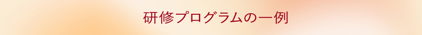 研修プログラムの一例です